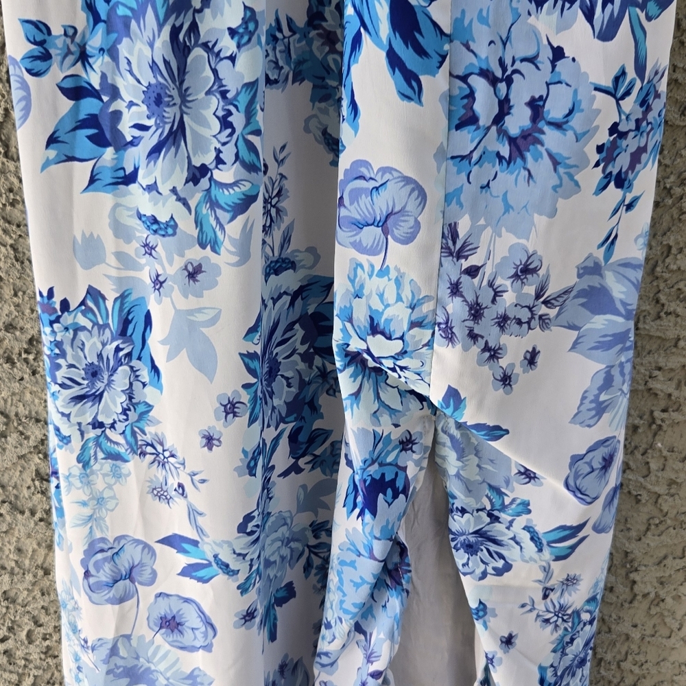 Thats so fetch Blue White Floral Maxi Dress - Picture 6 of 12